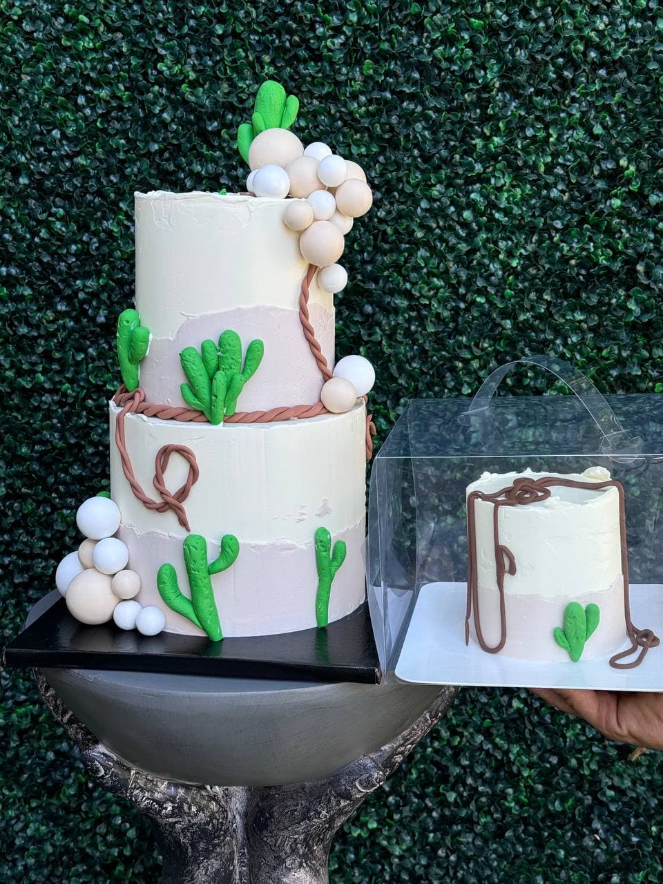 Cowboy Party Cake